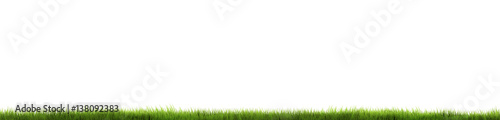 green grass 3d render isolated