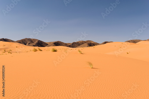 Sand dunes Ouzina  Shara desert  Morocco 