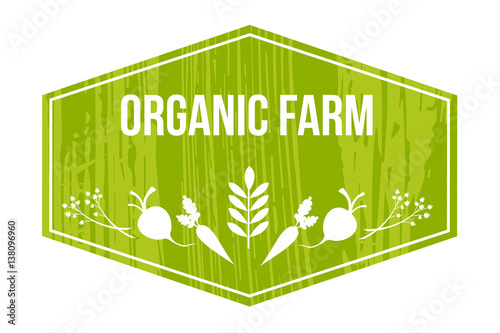 Farming logo, organic food in a rustic style, the cultivation of vegetables. The green background.