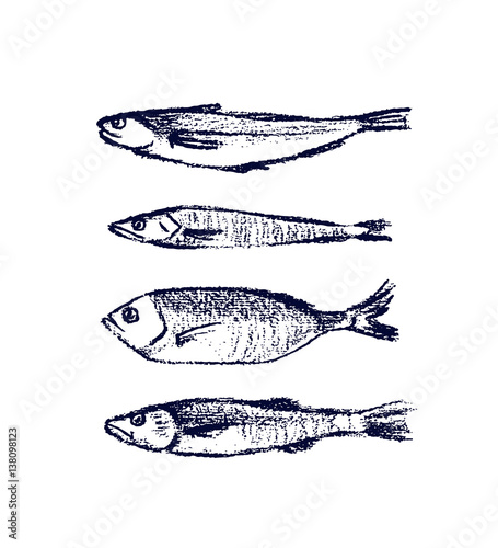 Hand drawn fish