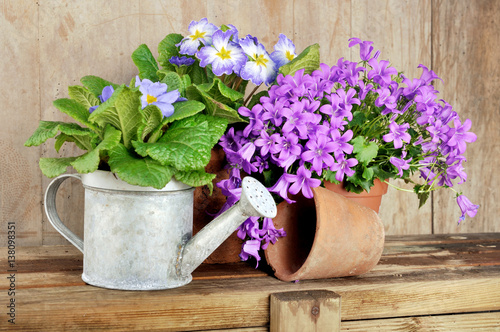 pot de fleurs et arrosoir sur caisse en bois