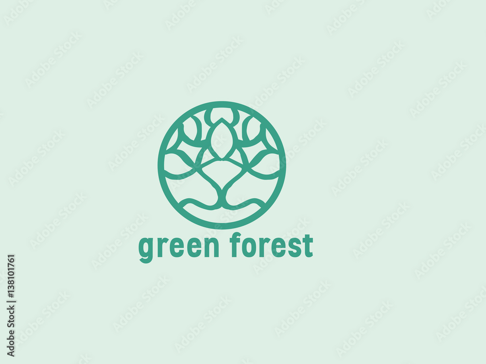 green forest green forest