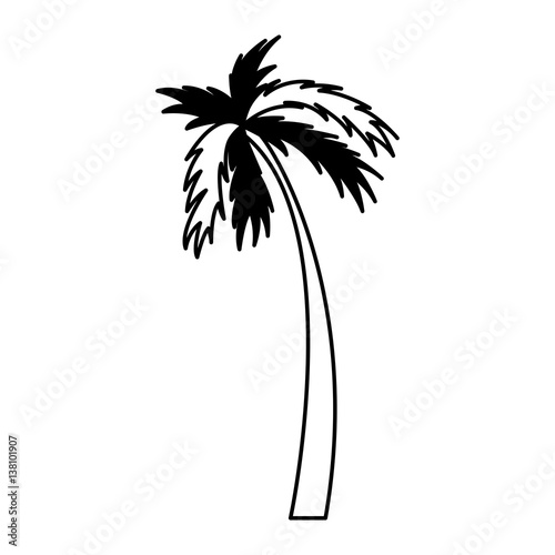 tree palm silhouette icon vector illustration design