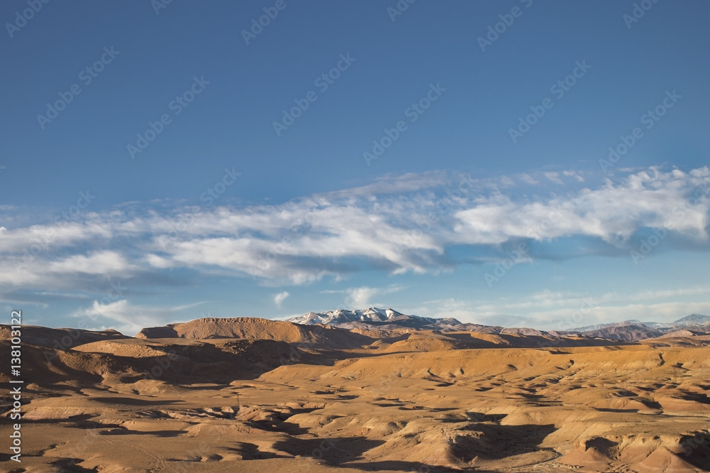 Naklejka premium Dunes of the Sahara Desert