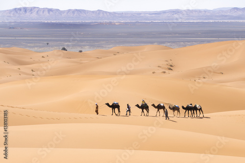 Camels on the Dunes