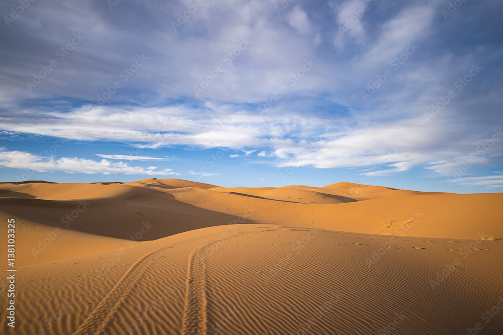 Dunes of the Sahara Desert