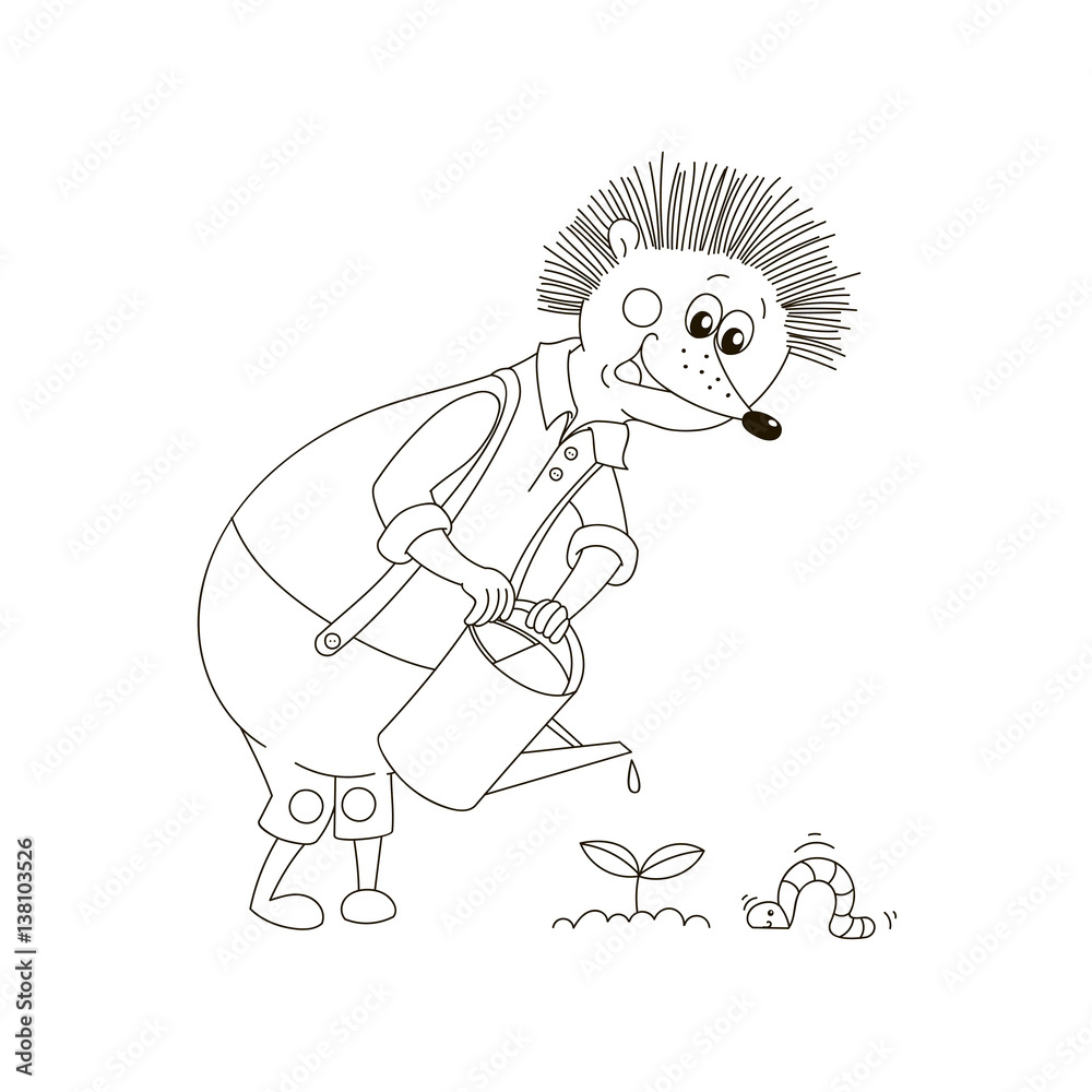 Fototapeta premium Hedgehog water the plants.