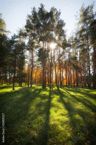 Autumn in park Aleksandriya