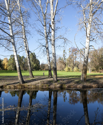 Autumn in park Aleksandriya photo