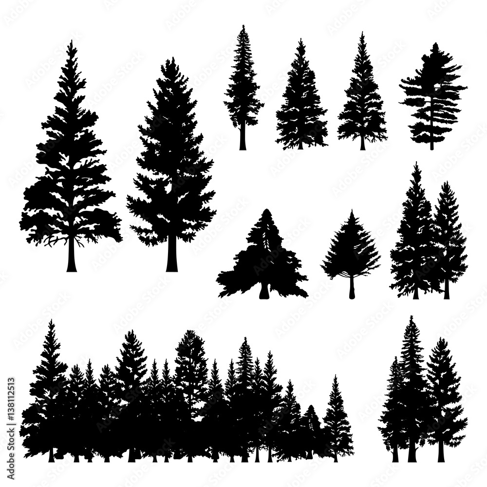 Pine Fir Forest Conifer Coniferous Tree Silhouette - obrazy, fototapety, plakaty 