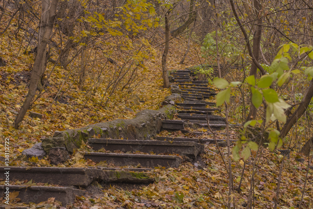 old stone stairs in the autumn park old stone stairs in the autumn park