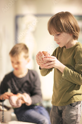 Children in the anatomical museum study human organs