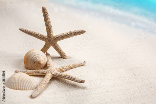 Shells on sandy beach, Summer concept