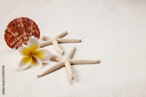 Pagoda and shells on sandy beach  Summer concept