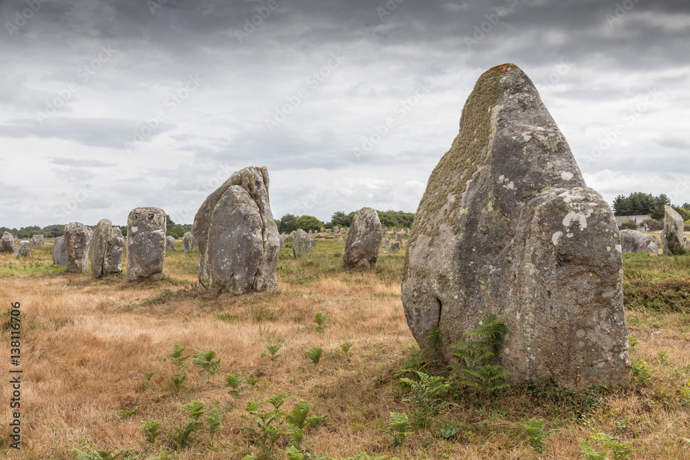 Carnac Stone Fields