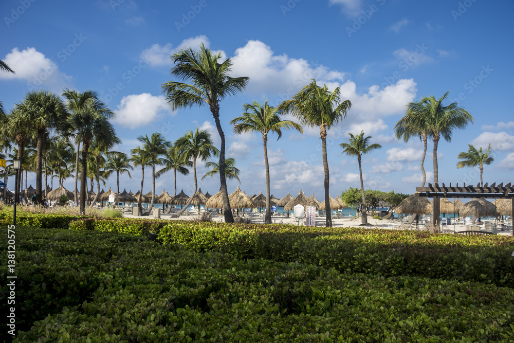 Aruba One Happy Island