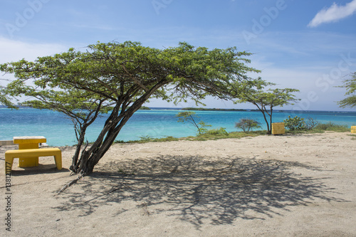 Aruba One Happy Island © Jony