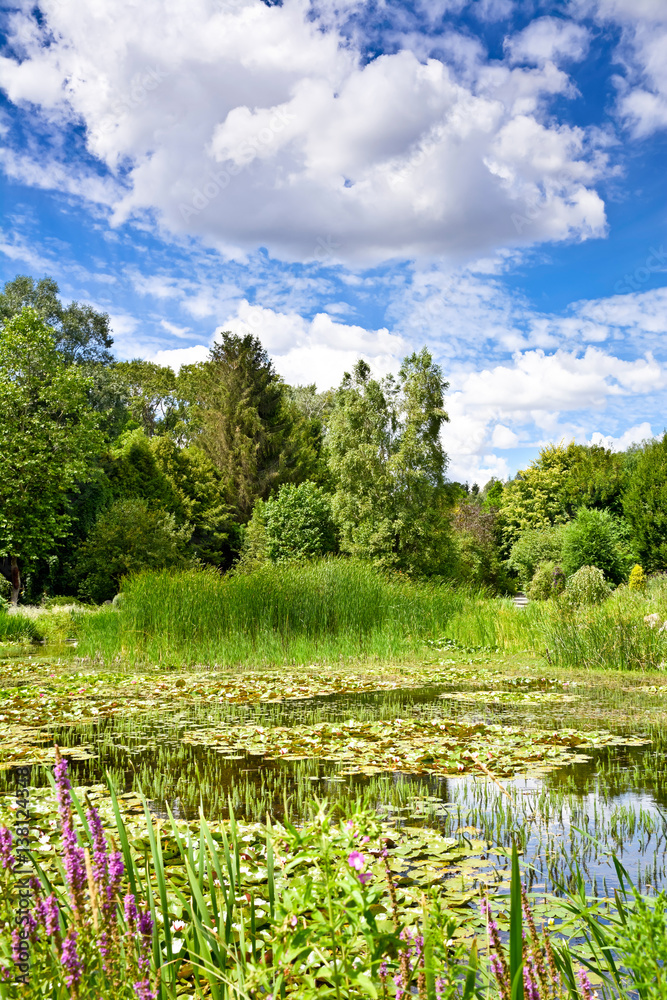 The landscape of greenery, a pond and clouds in a blue sky.
A beautiful summer day in the botanical garden.