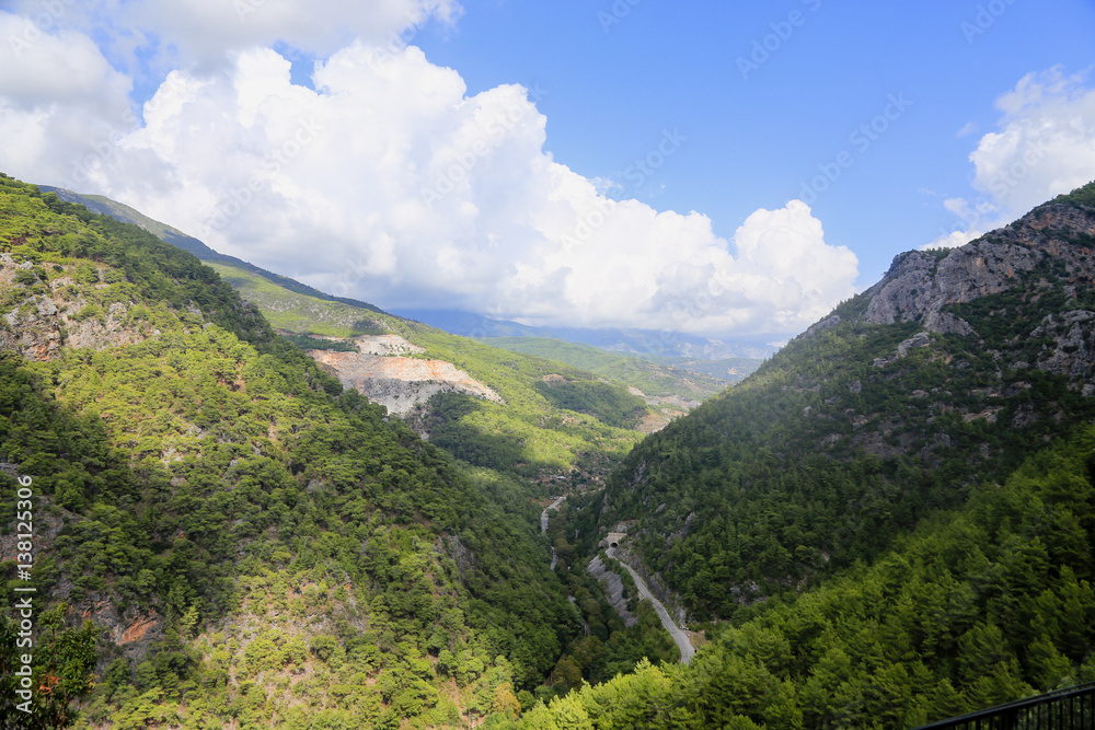 View of mountains covered with pine forests