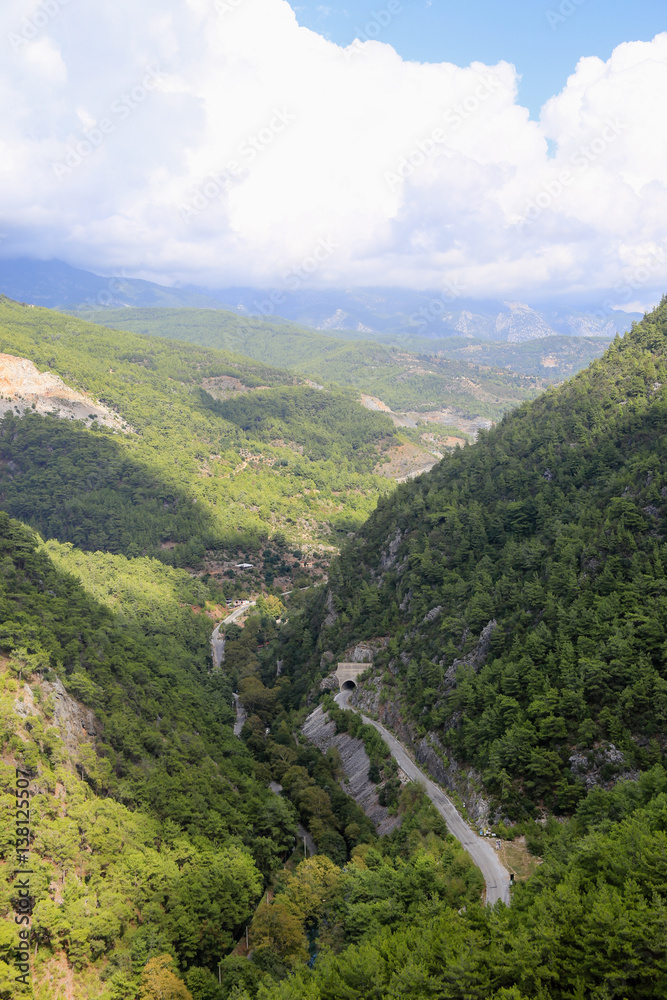 View of mountain valley covered with pine forests View of mountain valley covered with pine forests
