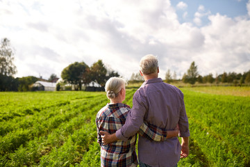 happy senior couple at summer farm