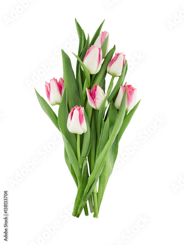 Bouquet of tulips isolated on white background. Spring flowers. Greeting card for Valentine s Day  Woman s Day and Mother s Day . Top view