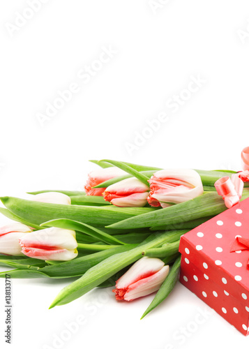 Fototapeta Naklejka Na Ścianę i Meble -  Bouquet of tulips isolated on white background with a red doted gift box as a symbol of the holiday. Spring flowers. Greeting card for Valentine's Day, Woman's Day and Mother's Day.