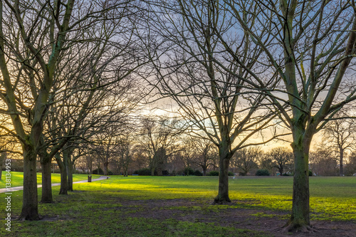 Sunset at a cold winter day in the park in united kingdom