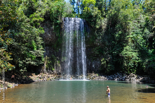 Millaa Millaa Falls in Atherton Tablelands, Australia photo