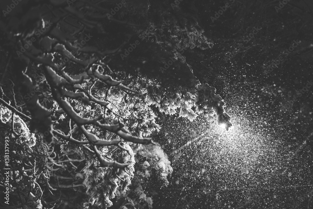 Streetlight shining through snow covered branches.