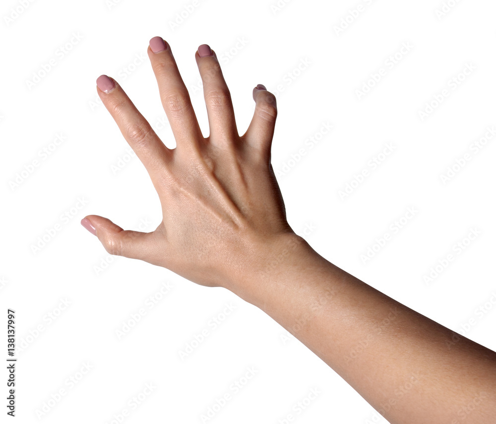 aggressive female hands isolated on white background aggressive female hands isolated on white background