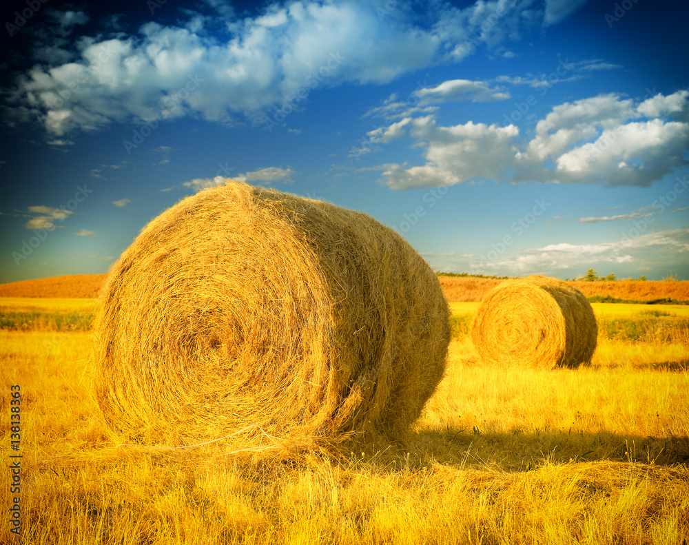 Hay bale in the countryside