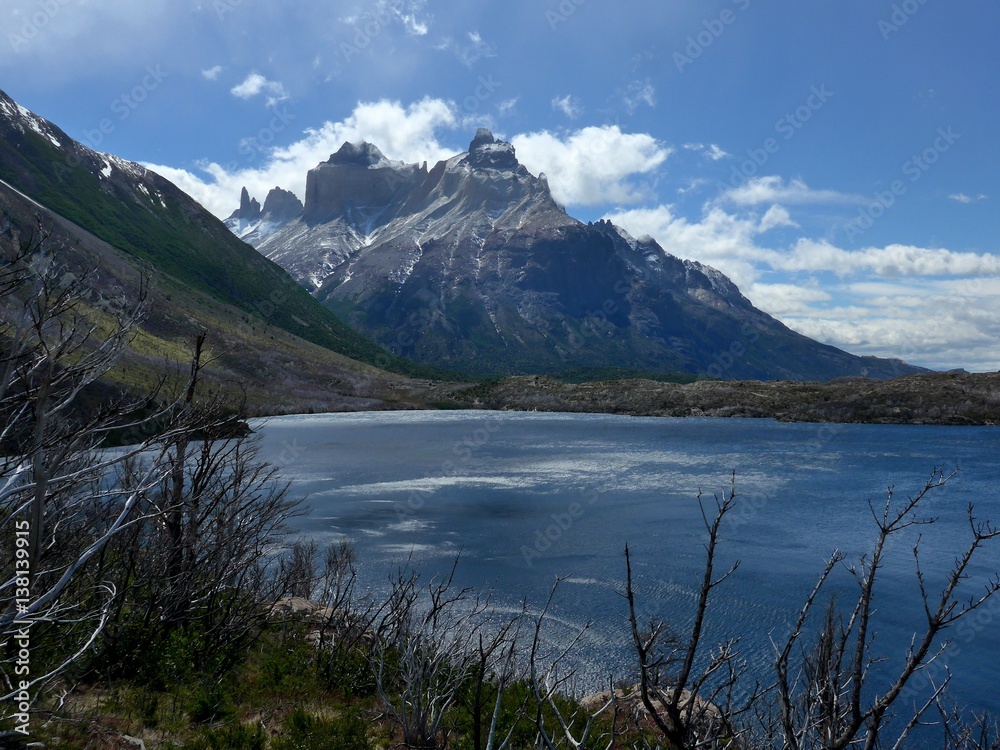 View of large towers over a lake through whats left of some shrubs after a fire in Torres del Paine National Park.