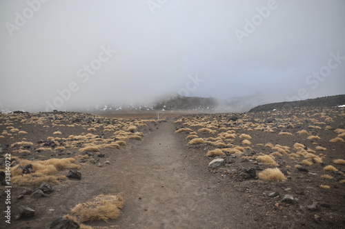 Billede på lærred Mount Doom (Mount Ngaunuhoe) Walkway at Tongariro Alpine Crossing, Mount Ngaunuh