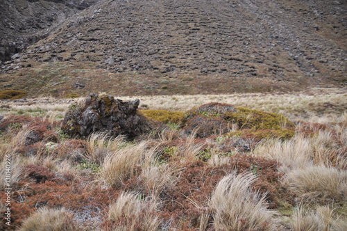 Tableau sur toile Mordor below Mount Doom (Mount Ngaunuhoe) Walkway at Tongariro Alpine Crossing,