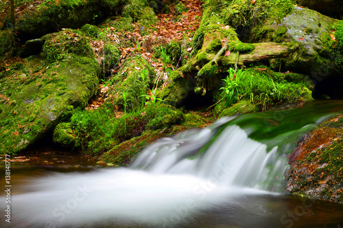 Mountain stream in the national park Sumava-Czech Republic