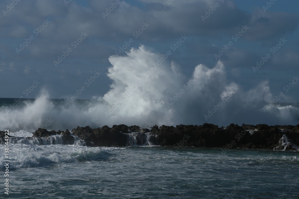 Naklejka premium High surf on North shore, Oahu