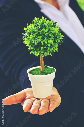 Wallpaper Mural People human hand holding saving growing arbor tree of knowledge life, Go green concept. Torontodigital.ca