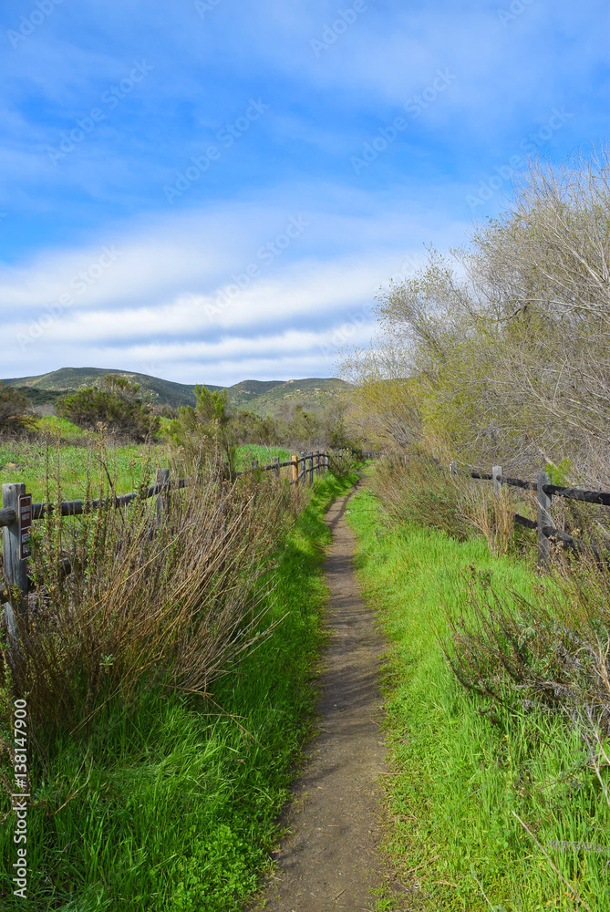 Striated Clouds Over Pathway