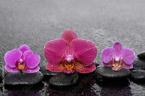 Set of red and pink orchid with therapy stones 
