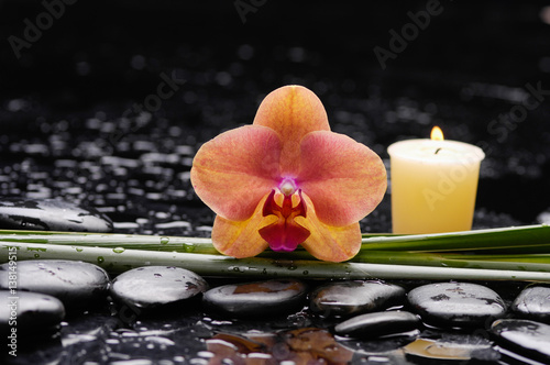 orchid with long leaf and stones, candle on wet background
