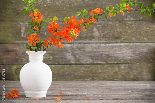 red spring flowers on wooden background