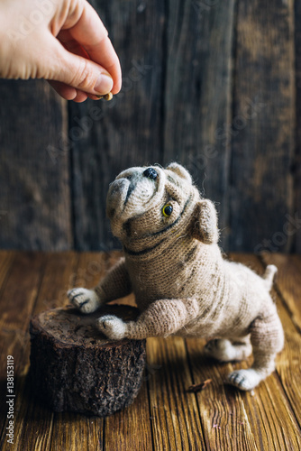 Knitted dog bulldog isolated on wooden background.