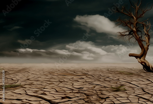 Fotografia A barren desert
