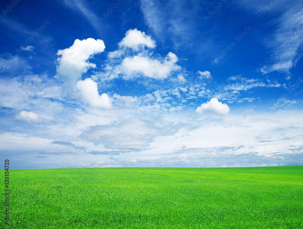 field