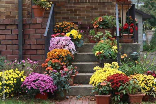 Seasonal house outdoor decoration.Way to the main entrance stair of the stylish house decorated by colorful potted flowers for autumn holidays season.