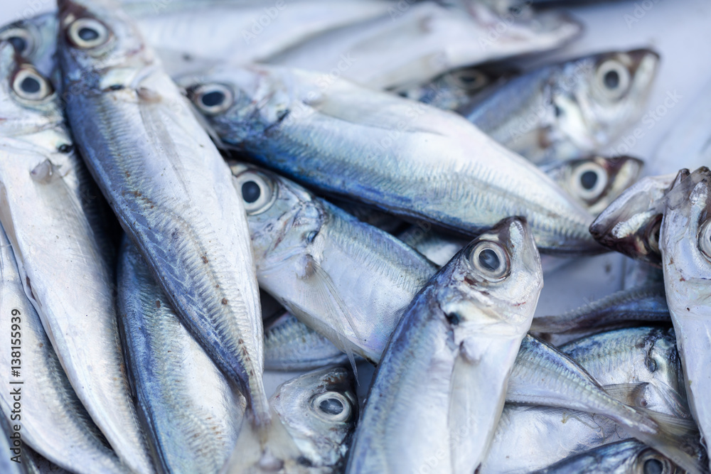 Obraz premium Fresh fishes and other seafood on market in Morocco ready for sell