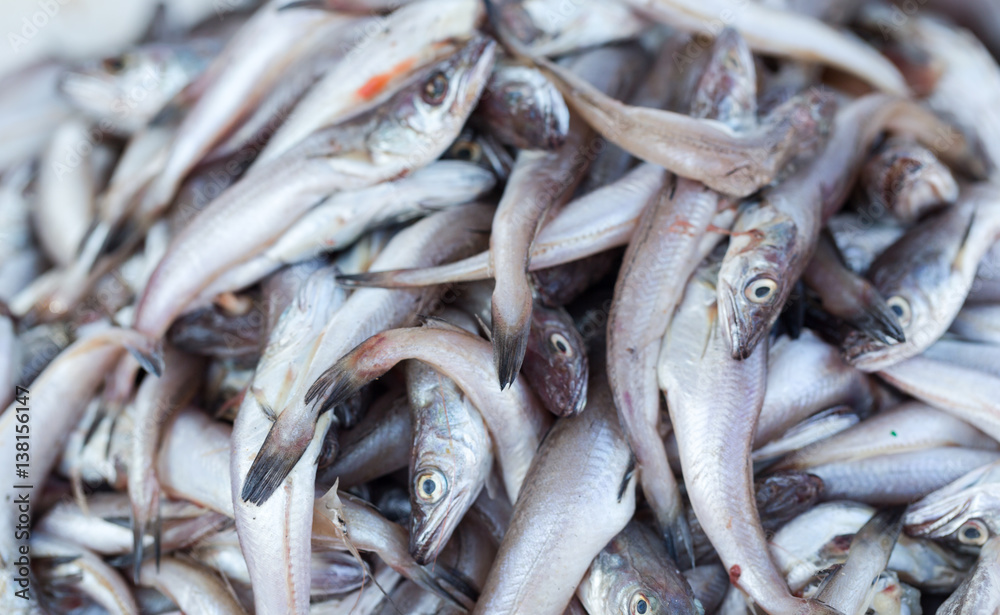 Fresh fishes and other seafood on market in Morocco ready for sell Fresh fishes and other seafood on market in Morocco ready for sell