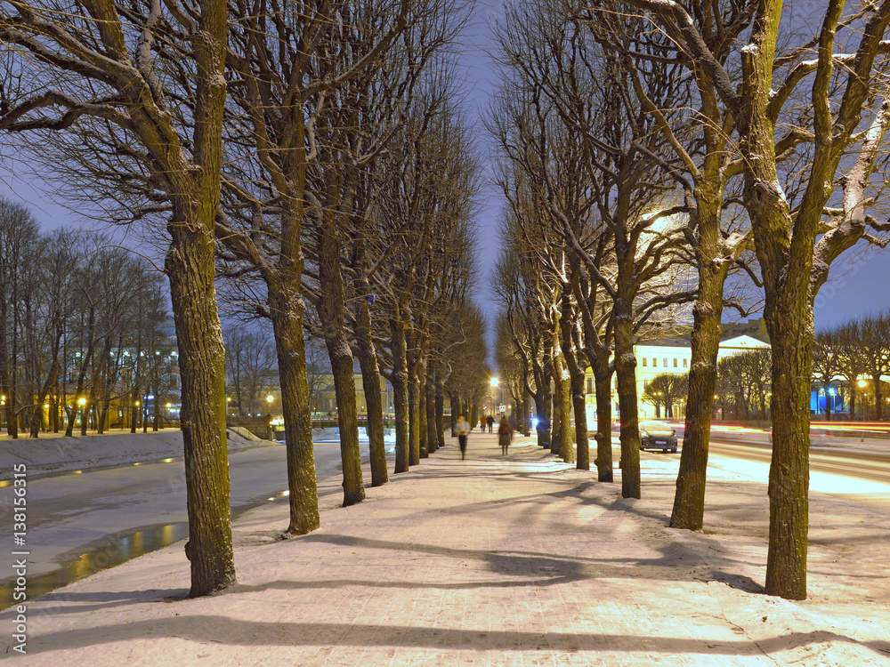 Urban alley of trees. Urban alley of trees.
