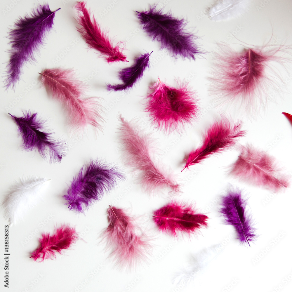 Group of colorful pink and purple feathers on white surface. Minimalism bright concept of lightness.